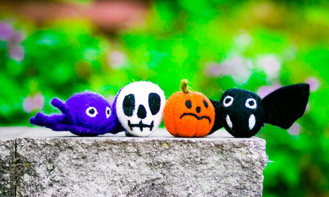 Halloween catnip_pet ideas