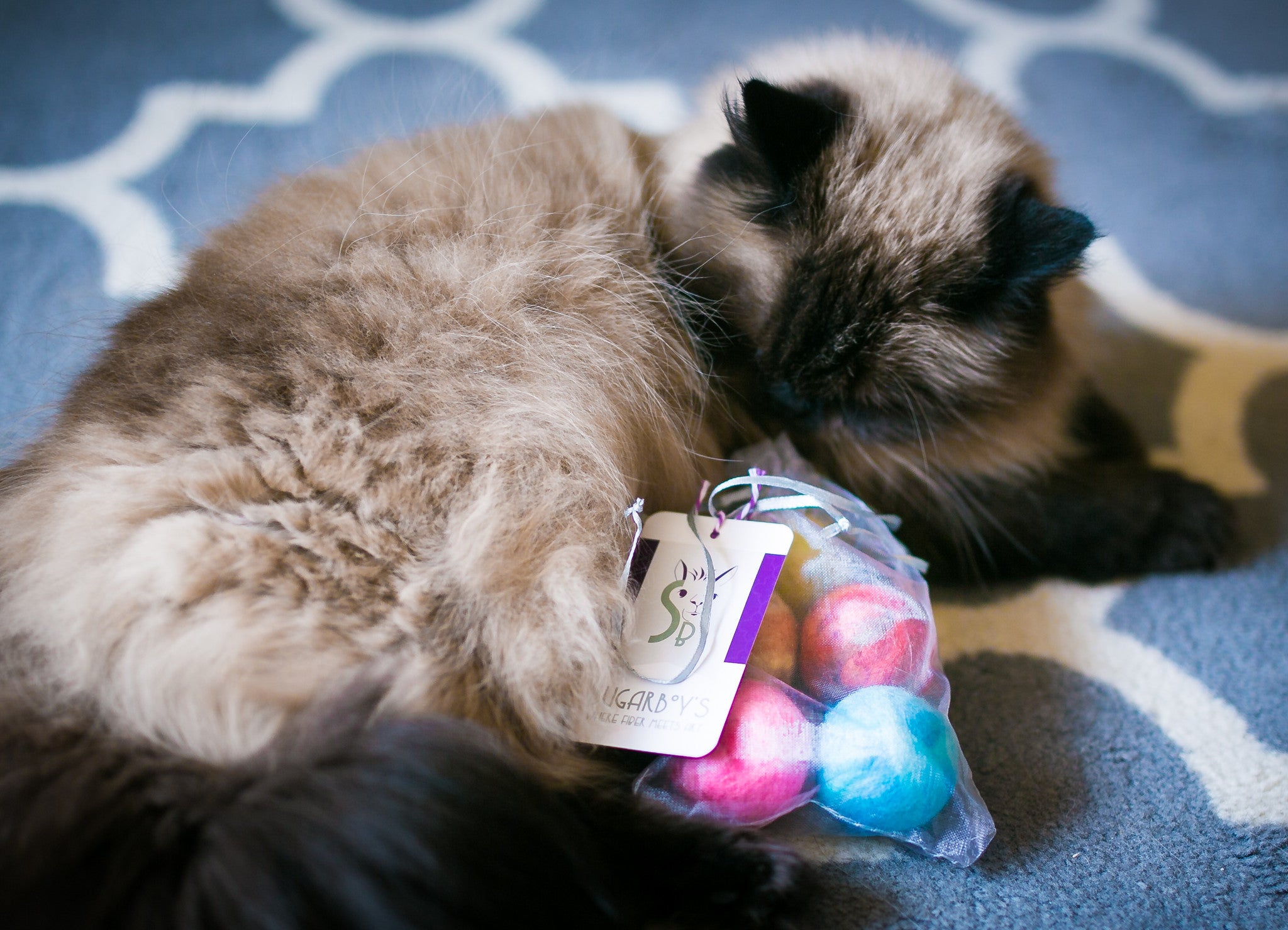 fuzzy ball cat toy