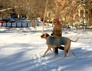 winter sweaters for great danes