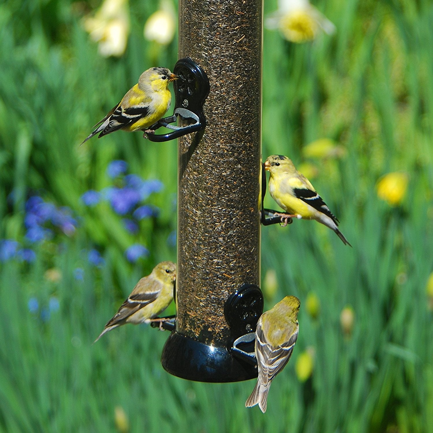 Droll Yankee 18 In Onyx Nyjer Tube Bird Feeder