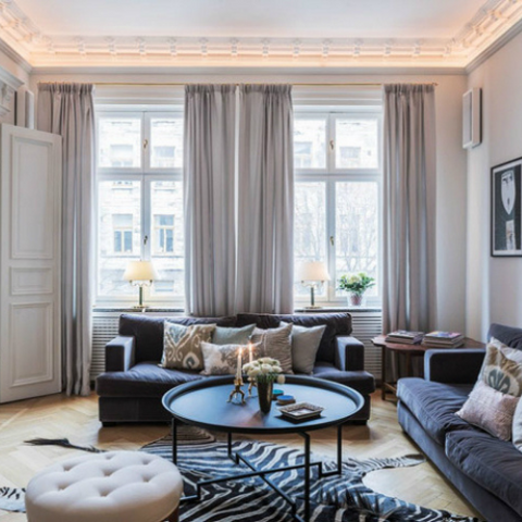 French modern interior design living room zebra rug