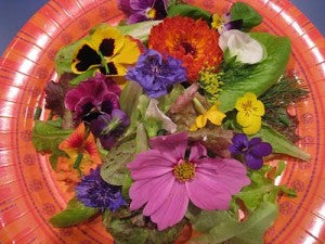 Edible Flowers | Another Wonderful Dinner Idea