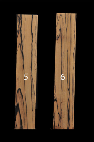 pale moon ebony fretboard