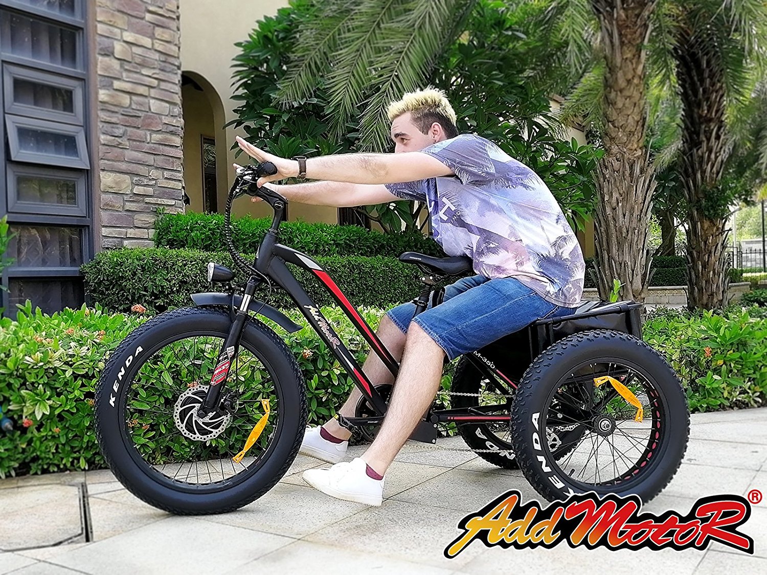 fat tire e trike