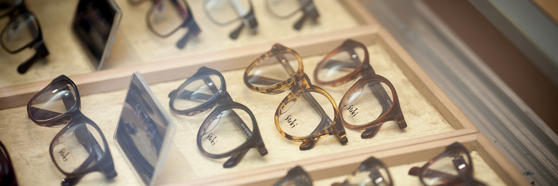 Eyewear Consultant Mott Optical Group