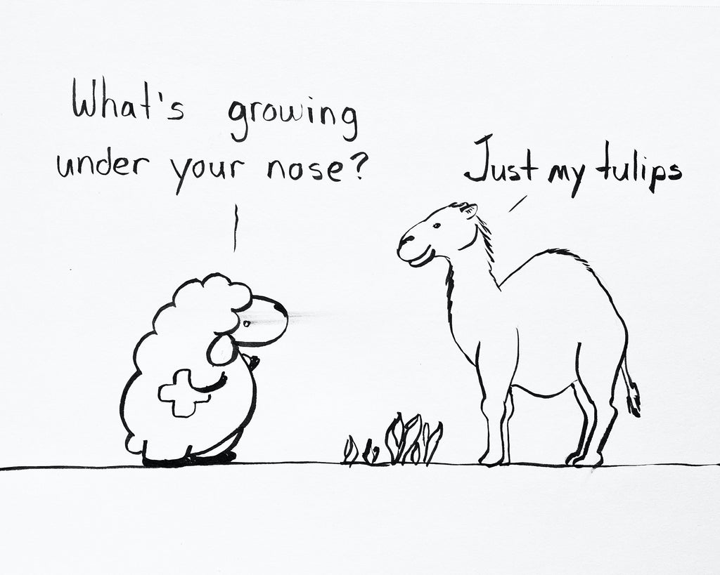 Evenpressure Medical Sheepskin, Sheepwell Tip #147: What's growing under your nose. Tulips.