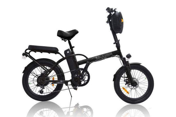 2 seater motorized bicycle