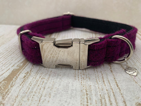 dark purple dog collar