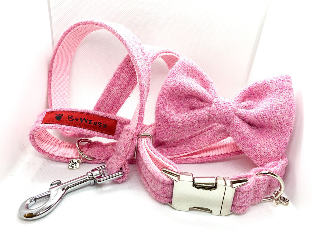 pink dog collar with bow