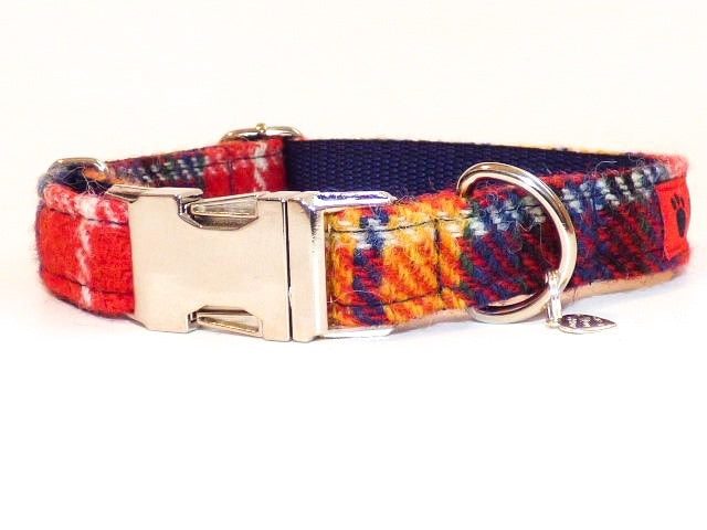 harris tweed puppy collar