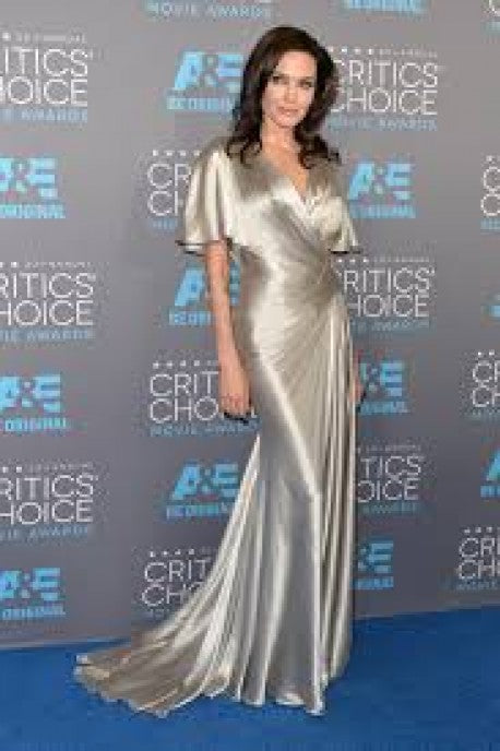 celebrity silver dress