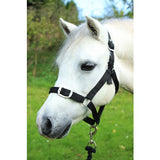 Gallop Head collar and Leadrope Set