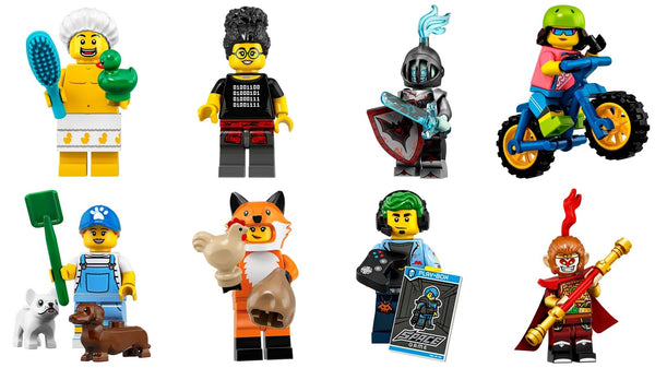 Series 19 Complete LEGO Minifigures 71025 – Display Frames Lego Minifigures
