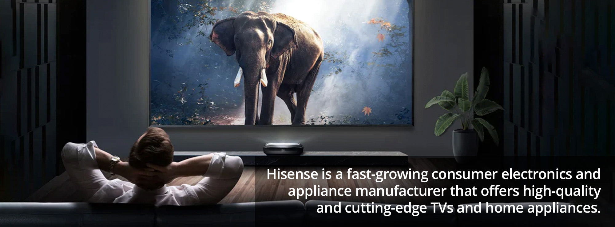 Hisense is a fast-growing consumer electronics and appliance manufacturer that offers high-quality and cutting-edge TVs and home appliances.