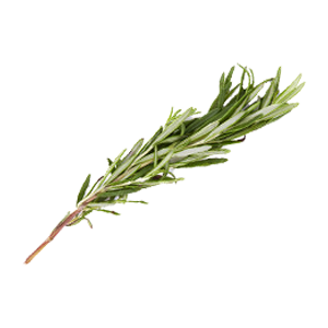 Rosemary Oil