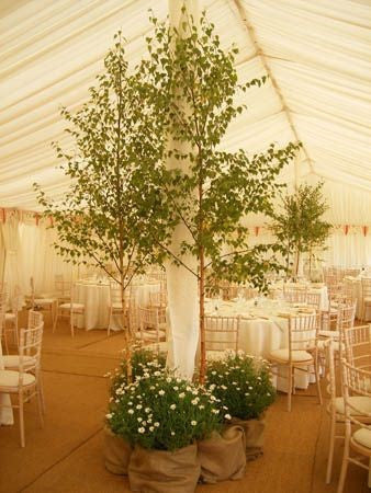 wedding venue styling