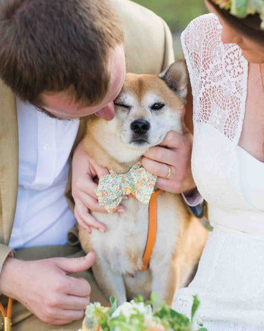 wedding pets