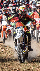 Marty Michels