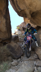 Maverick Shuey