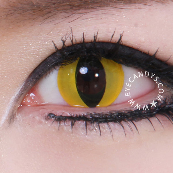 Buy GEO Animation Yellow Cat Eye Halloween Contact Lenses ...
