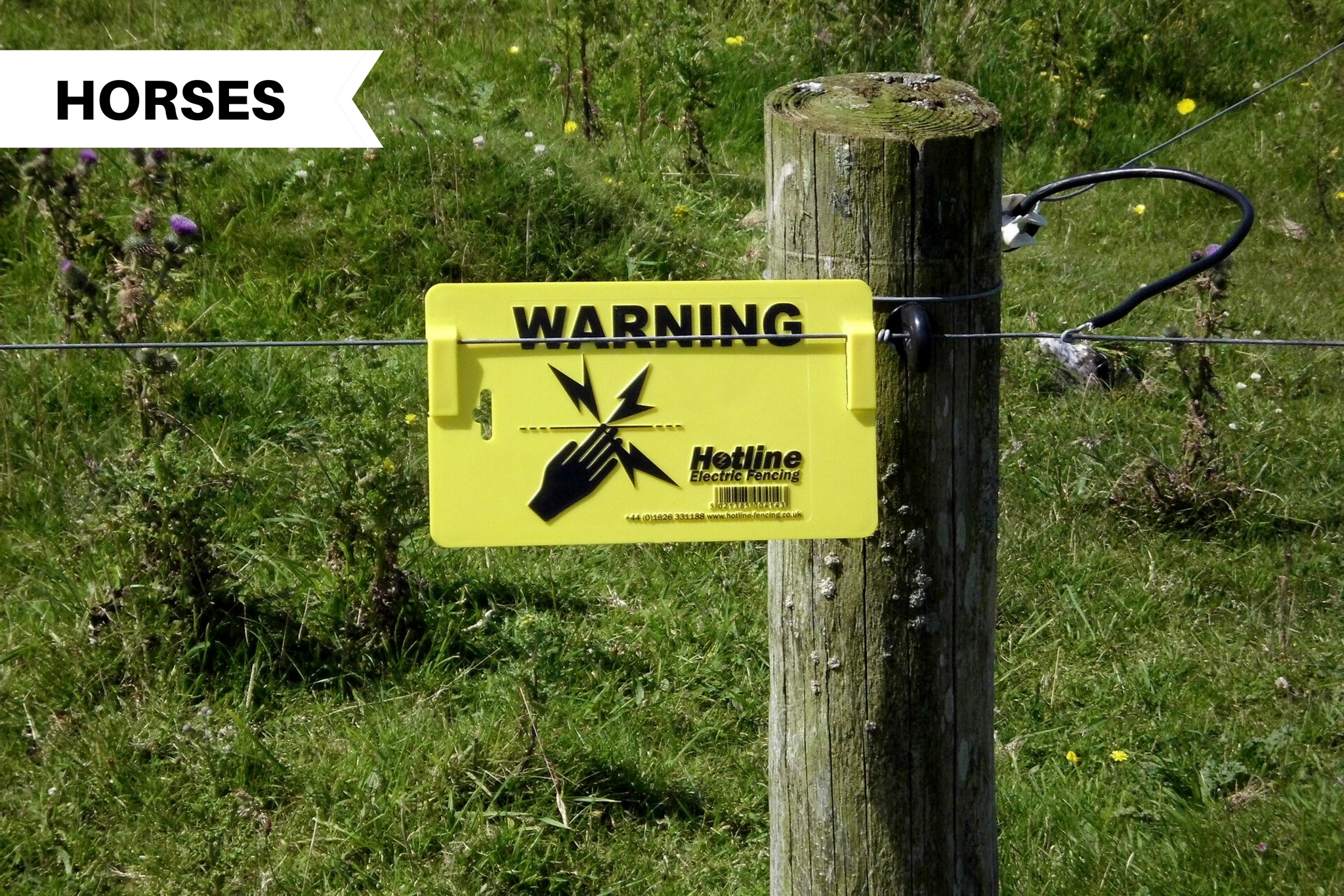 Electric Fencing For Horses Pros And Cons Illumiseen