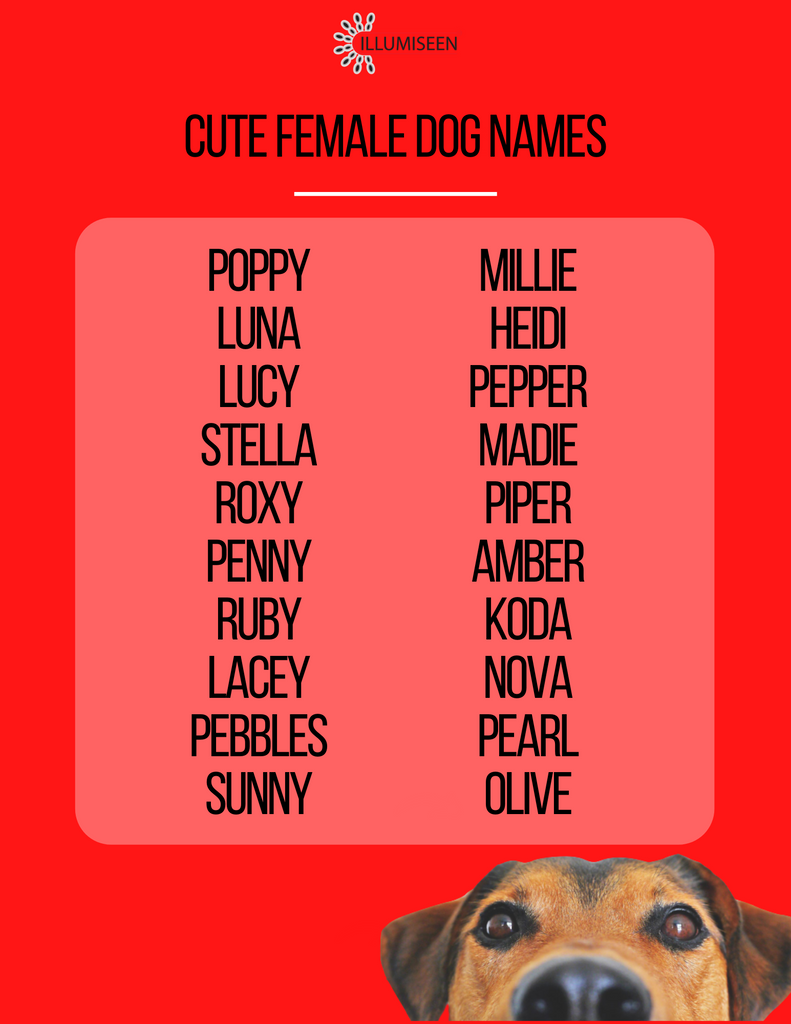 Cute Female Dog Names