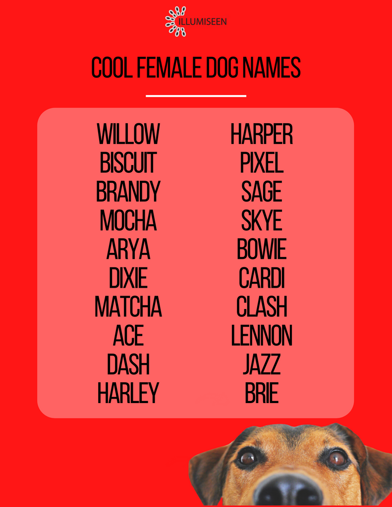Cool Female Dog Names