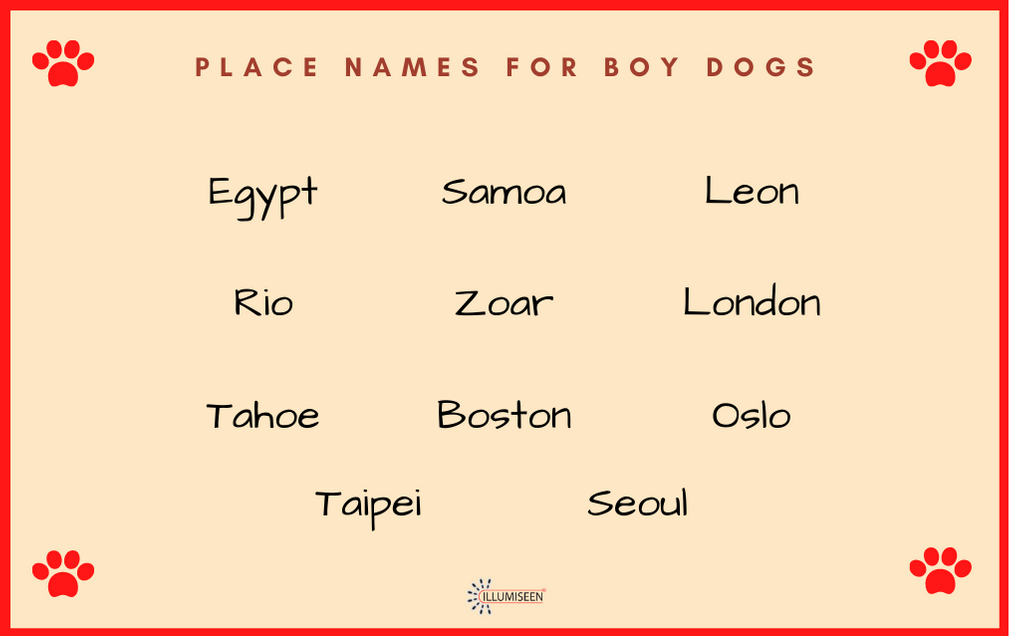 good names for boy dogs