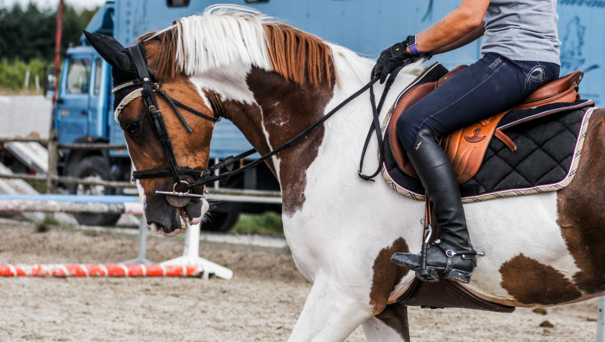 Horseback Riding