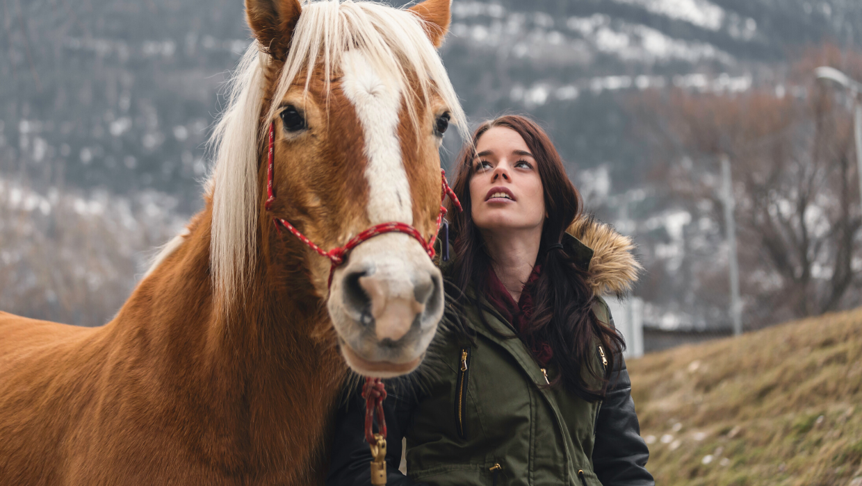 Horse and owner bonding