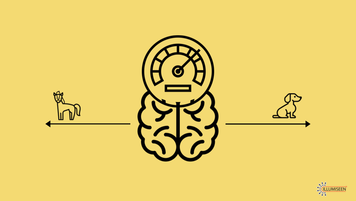 The linear approach to measuring intelligence