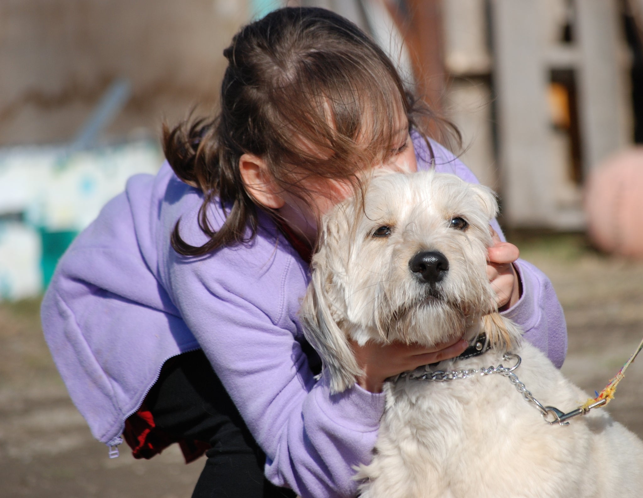 Child Kissing Her Dog