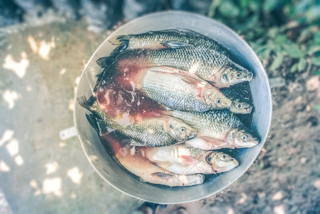 Karfreitag bei Oberlecker