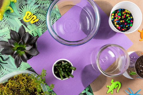 Overhead shot of terrarium materials showing two glass jars, rainbow gravel, soil, moss, and plants on a purple and leaf patterned paper background