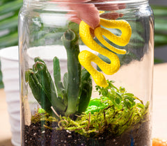 Closeup of a yellow plastic snake being added to a Garden of Eden terrarium Sunday school craft