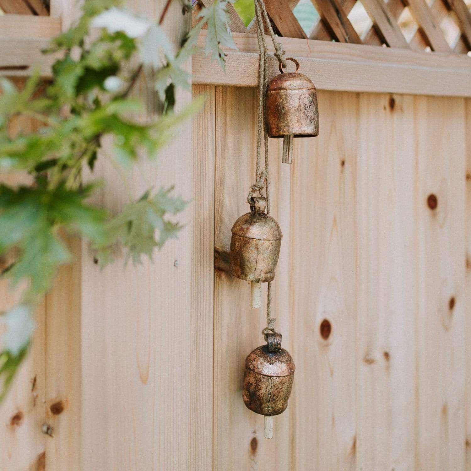 Magical Tibetan Bell and Dorje Box