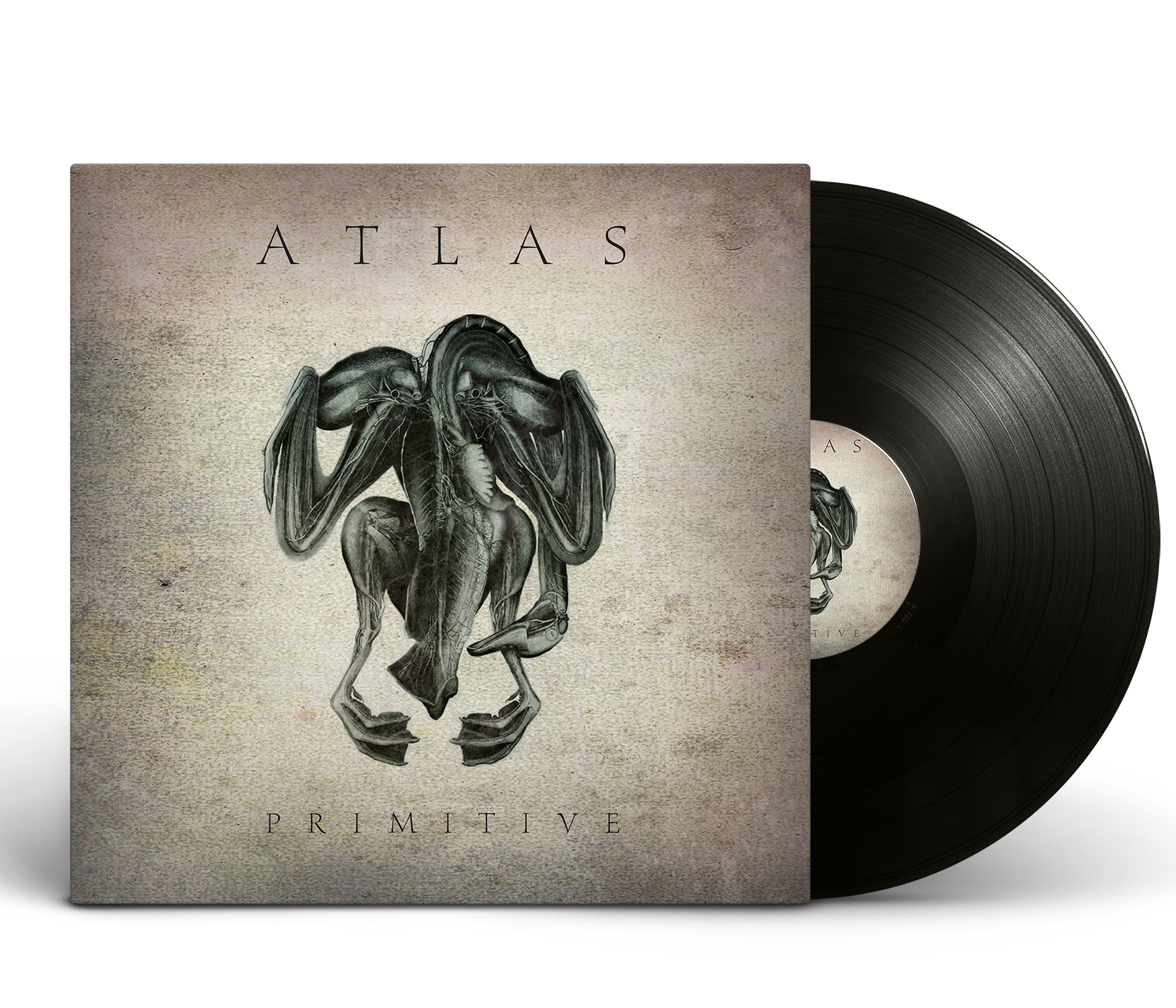 Altas - Primitive Vinyl
