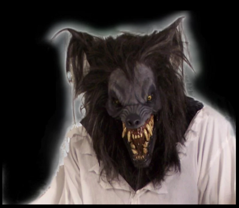 Night Rage Werewolf Costume
