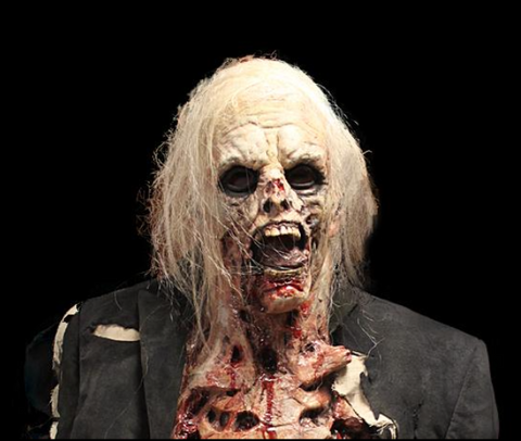 Zombie Walker Costume