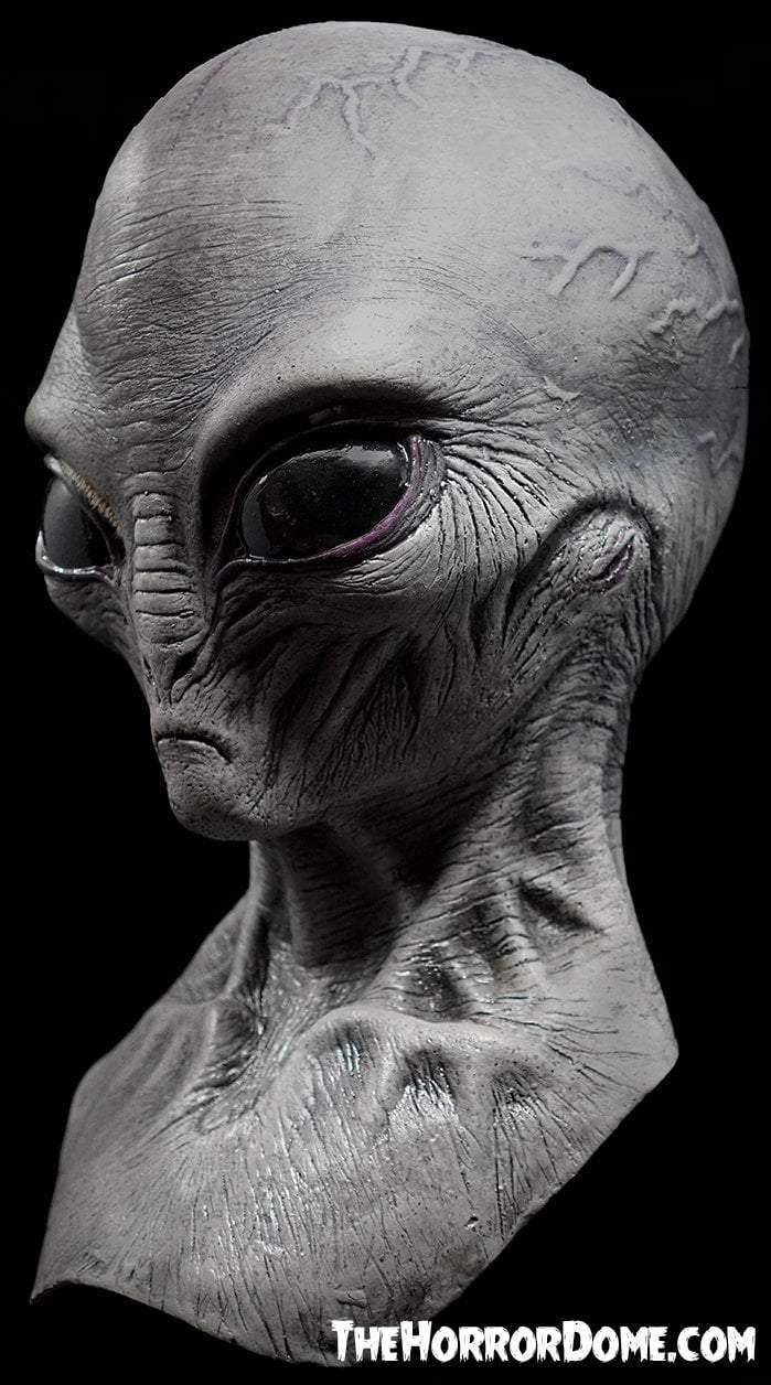 Grey Alien Face Microbead Pillow