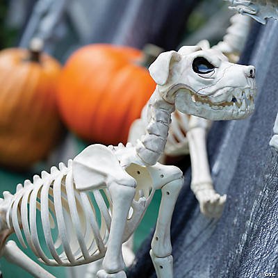 Pes - Strnka 32 Buster-bonez-dog-skeleton-halloween-prop-30408506769456_620x