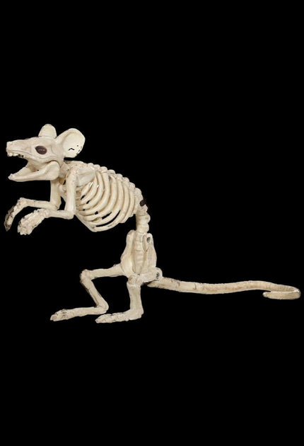 Standing Mouse Skeleton | Mouse Skeleton Prop | Rodent Prop | The ...