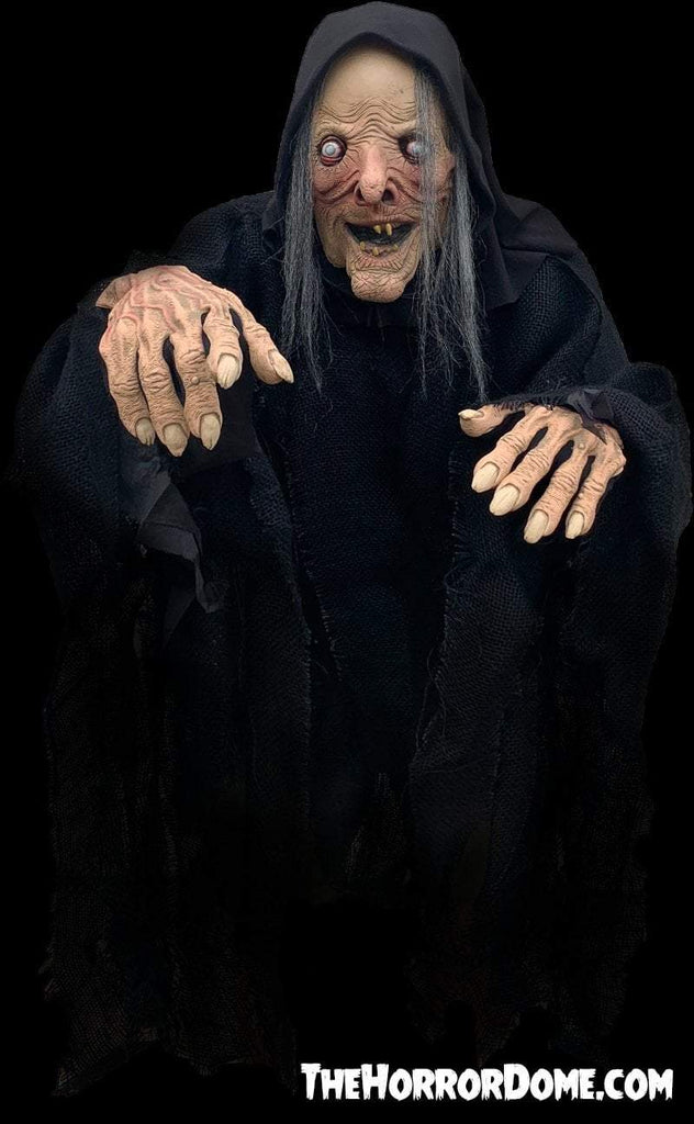 Wordt erger renderen Dankbaar Wicked Witch" Comfort Costume | Scay Halloween Costumes – The Horror Dome