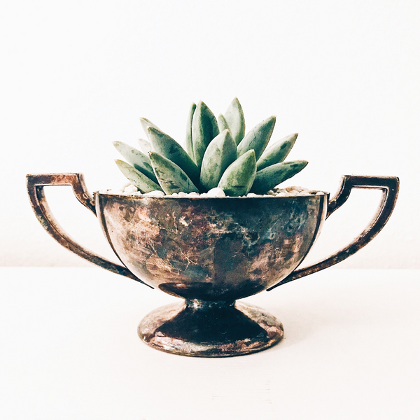 Chalice Planter