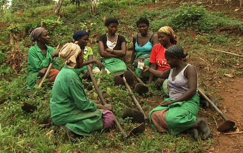 Women cocoa farmers claim rights, despite escalating violence in Democratic Republic of Congo (DRC)