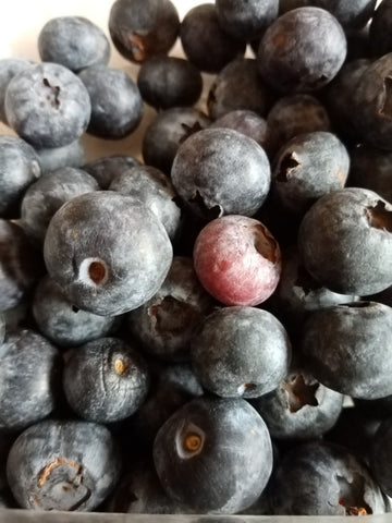Blueberries from South Africa, Zero Waste Week 2021 with Sabeena Z Ahmed