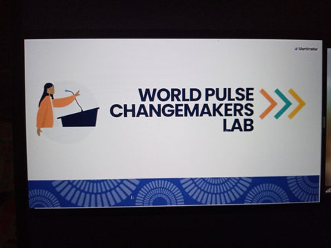 World Pulse Changemaker Lab 2022