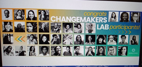 World Pulse Changemaker Lab Feb 23, Live Webinar, Module 6 with Sabeena Z Ahmed