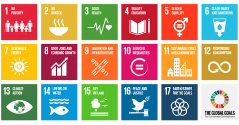 The Sustainable Development Goals