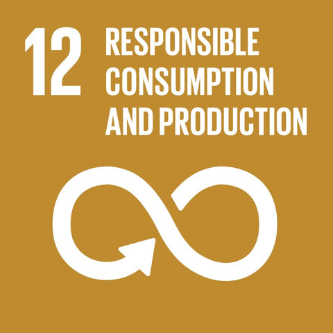 Global Goals for Sustainable Development Global Goal 12 Responsible Consumption and Production - Anti Poverty Week in Dubai and the UAE by the Lilfairtrade Shop